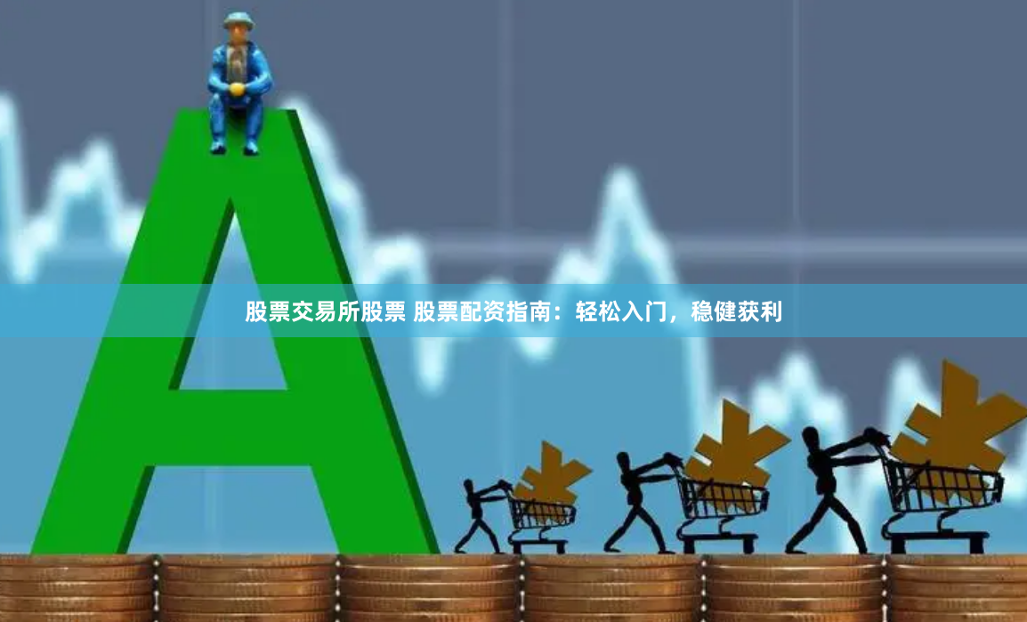 股票交易所股票 股票配资指南：轻松入门，稳健获利