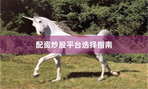 配资炒股平台选择指南