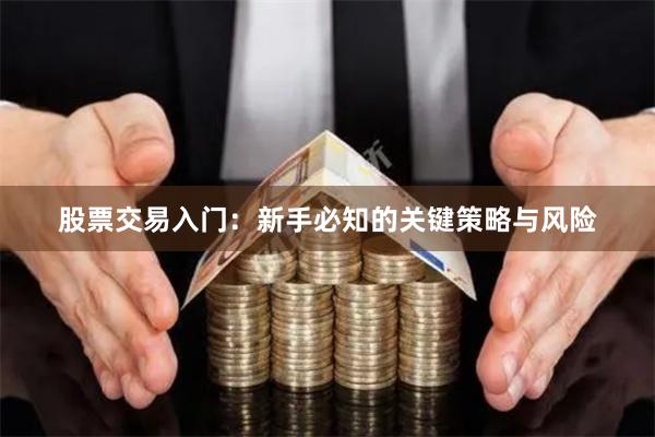 股票交易入门：新手必知的关键策略与风险