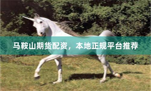 马鞍山期货配资,本地正规平台推荐
