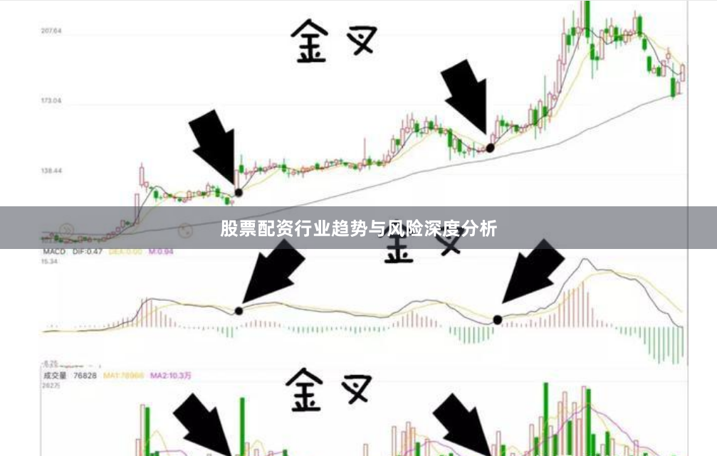 股票配资行业趋势与风险深度分析