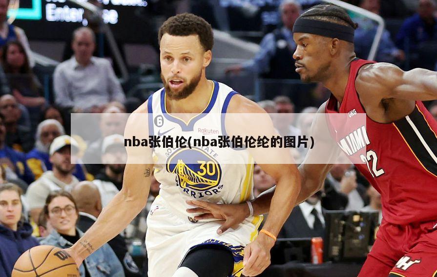 nba张伯伦(nba张伯伦纶的图片)